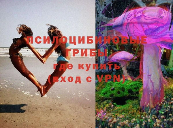 твердый Киреевск