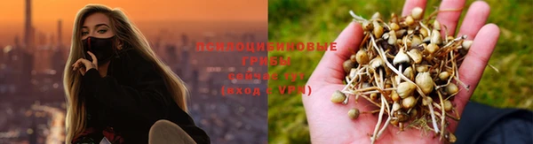 альфа пвп Карпинск