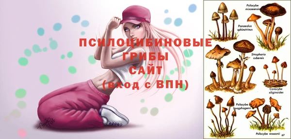 скорость mdpv Касимов
