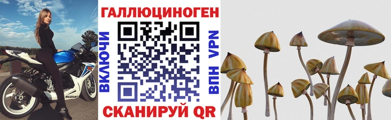 Псилоцибиновые грибы мухоморы  МЕГА зеркало  Кировград  мориарти официальный сайт  наркошоп 